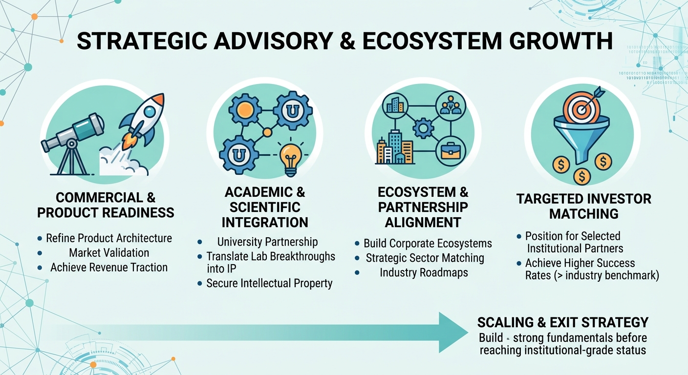 Strategic Advisory Beyond Traditional Venture Capital for Scale-Ups and Research Spin-Outs Cyprus